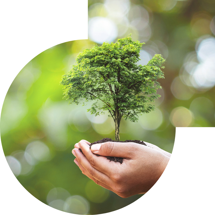 关怀人类、文化、环境与社会